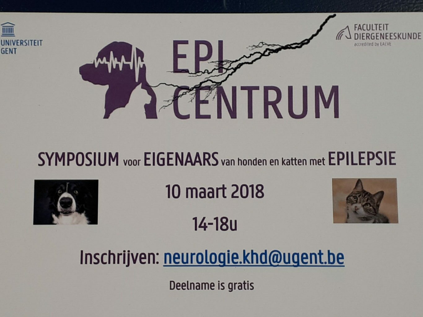 Symposium over epilepsie bij kat en hond