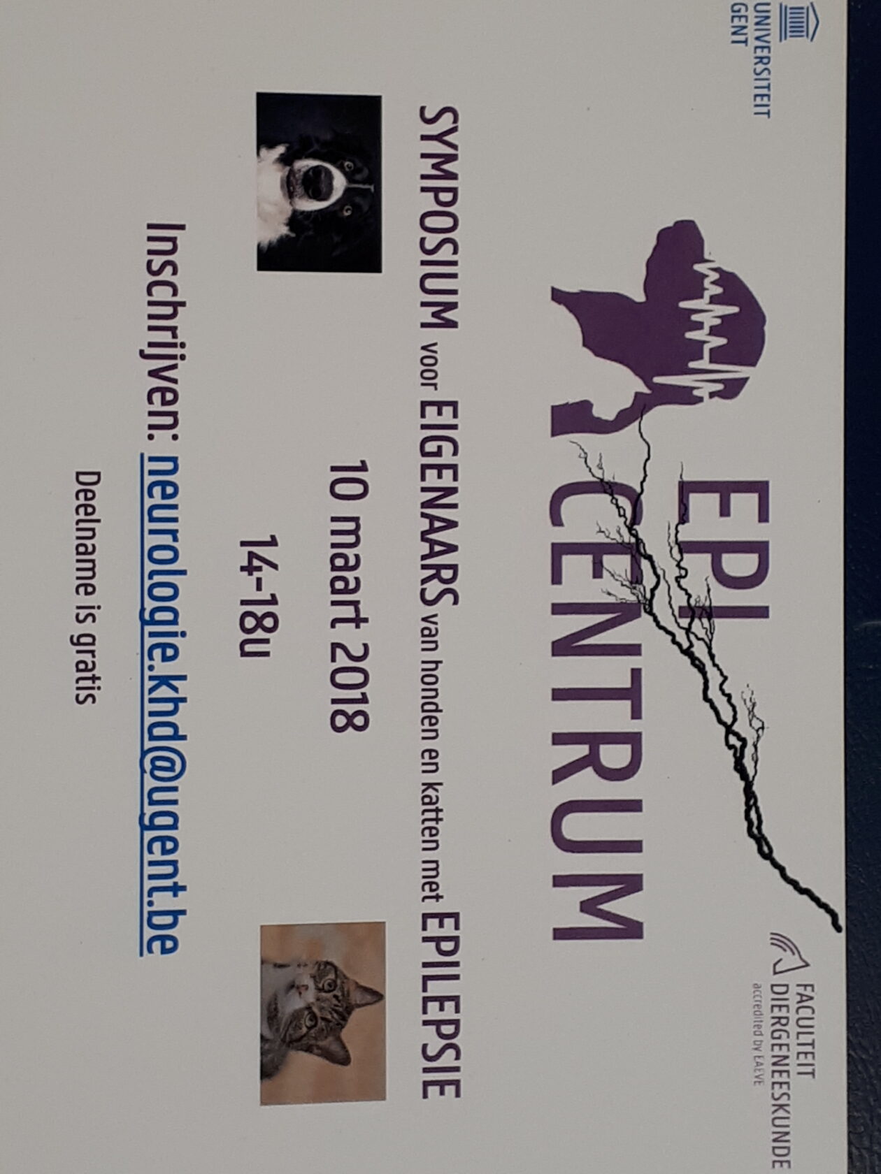 Symposium over epilepsie bij kat en hond