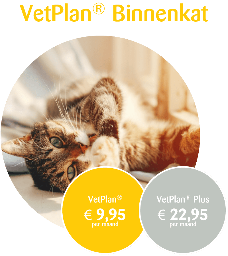 VetPlan Binnenkat prijs