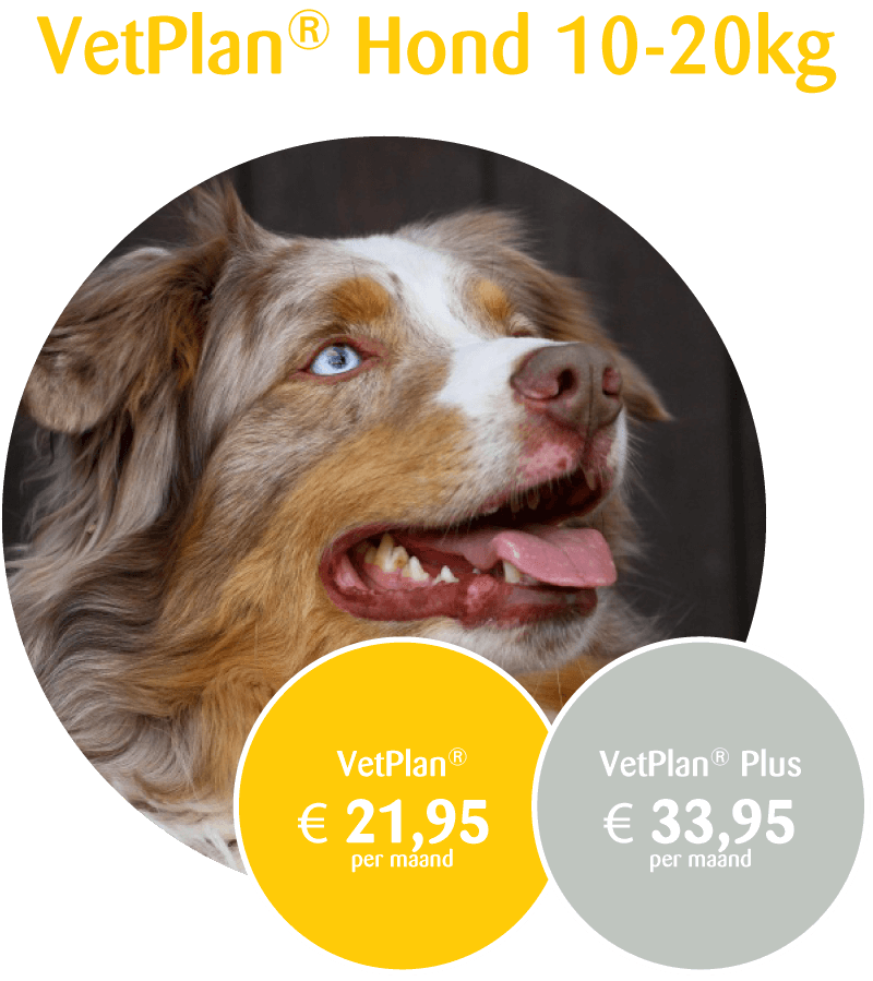 VetPlan hond 10-20kg prijs