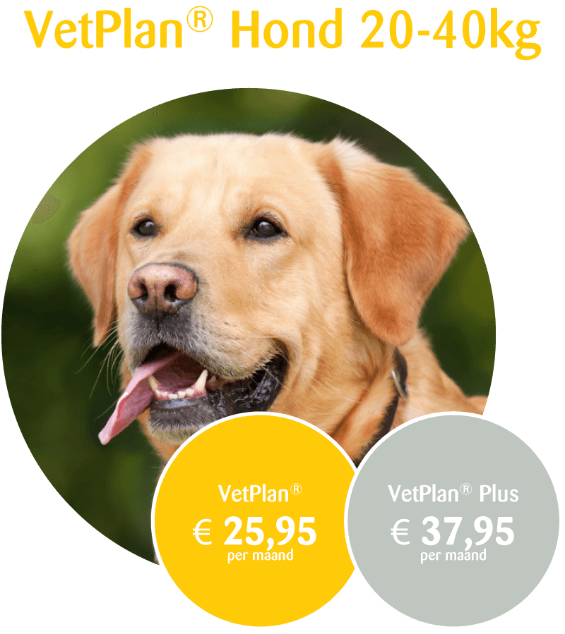 VetPlan Hond 20-40kg prijs