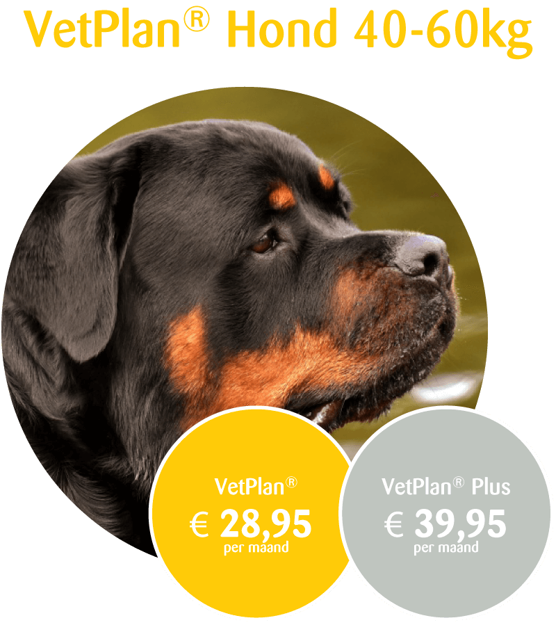 VetPlan Hond 40-60kg prijs