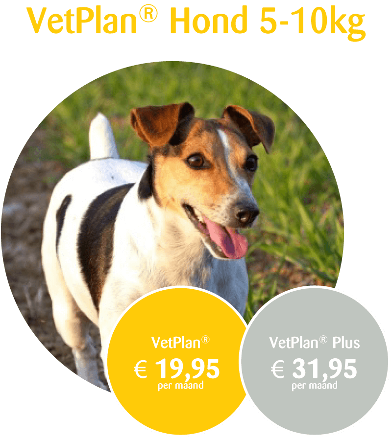VetPlan Hond 5-10kg prijs