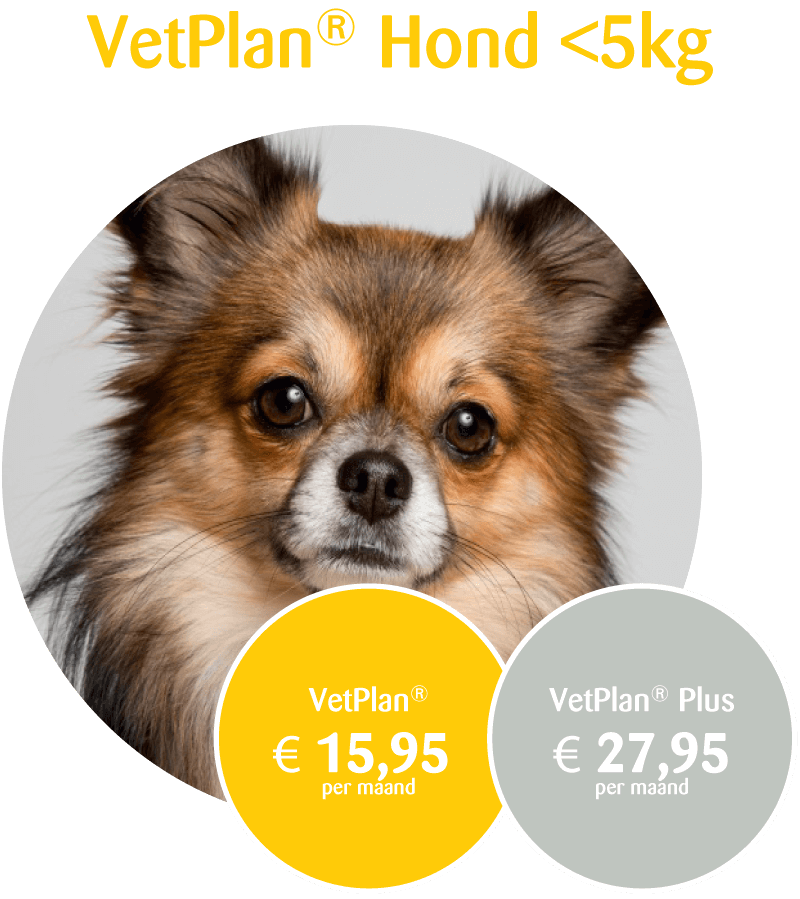 VetPlan hond <5kg prijs